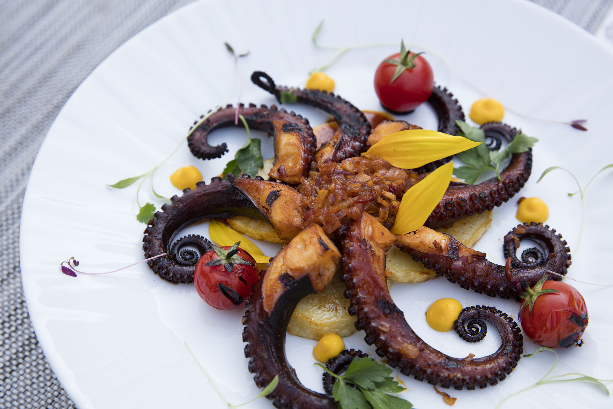 ホテル クリスタル サテライト マリア バルバラ Tlalnepantla  エクステリア 写真 Octopus